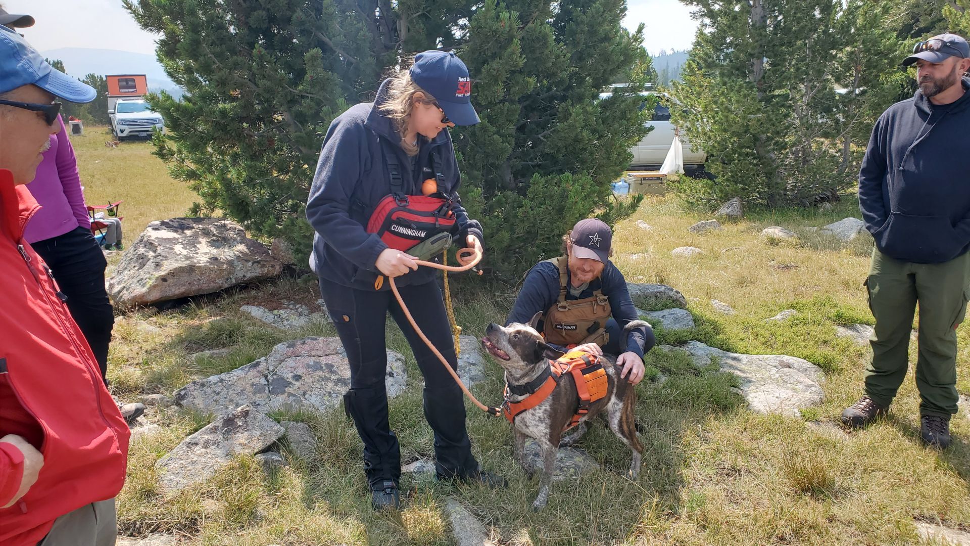 Absaroka Search Dogs